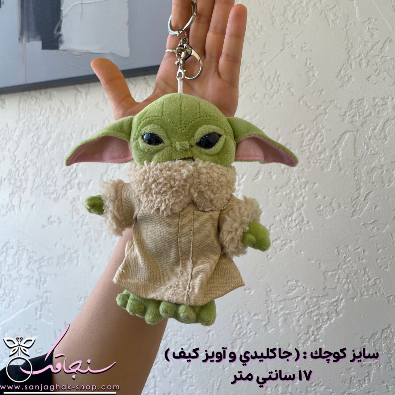 خانواده بيبی يودا (گروگو جنگ ستارگان)