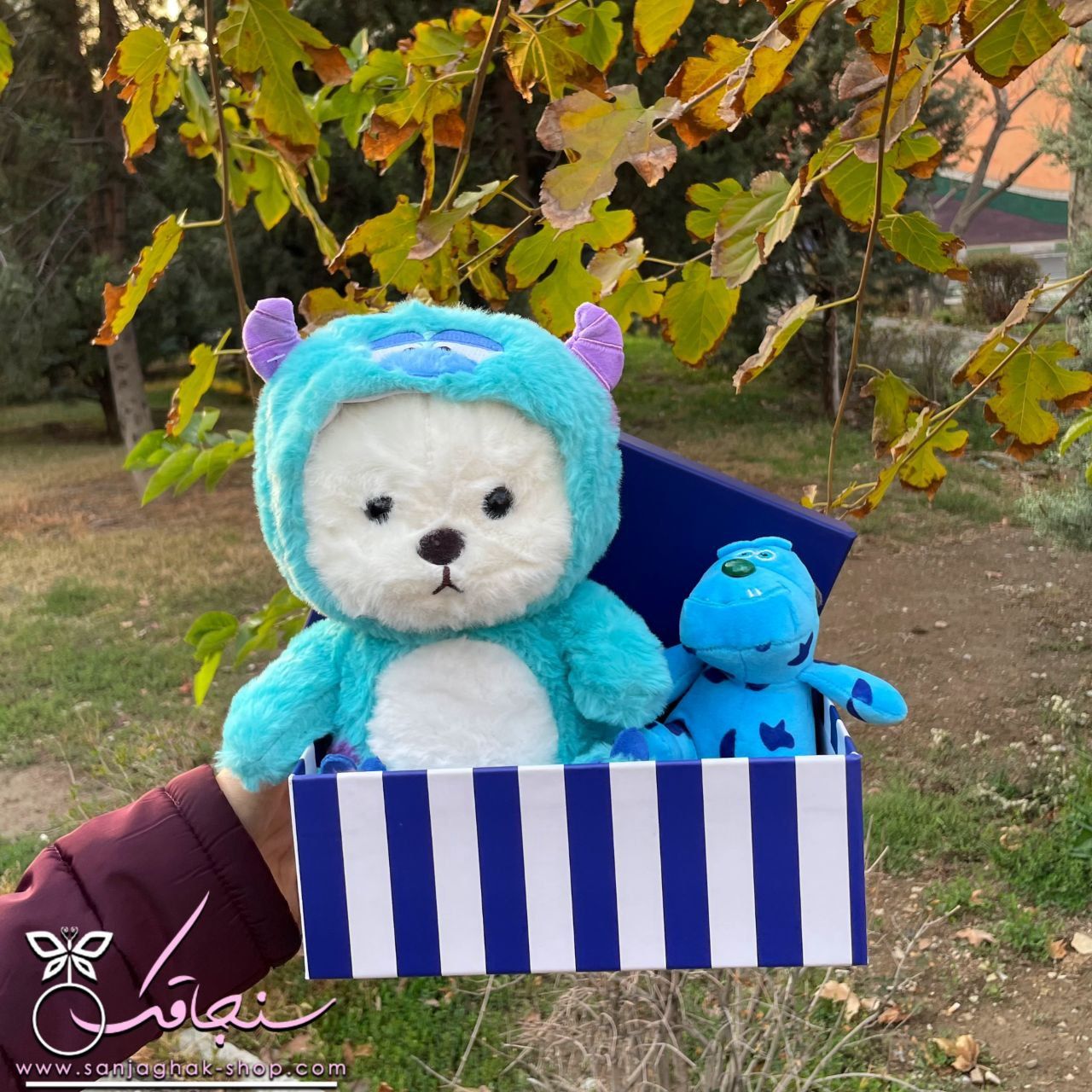 پكيج ساليوان اقتصادی