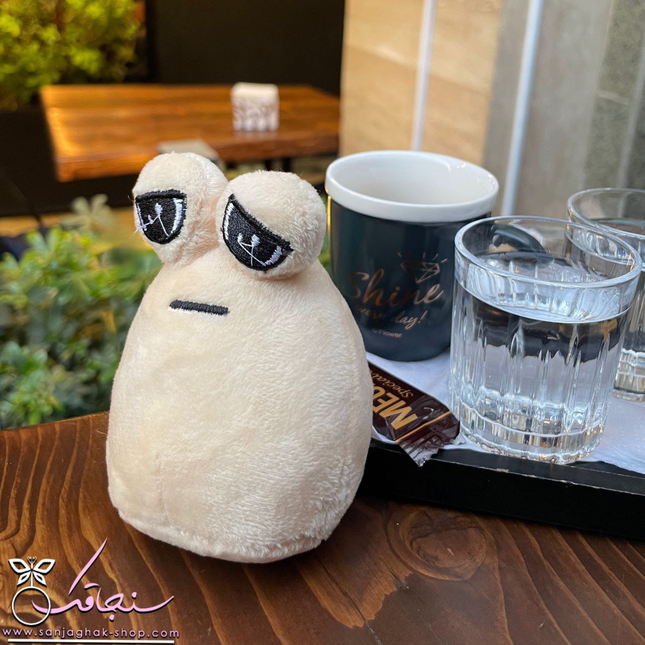 جاكليدی پو غمگين