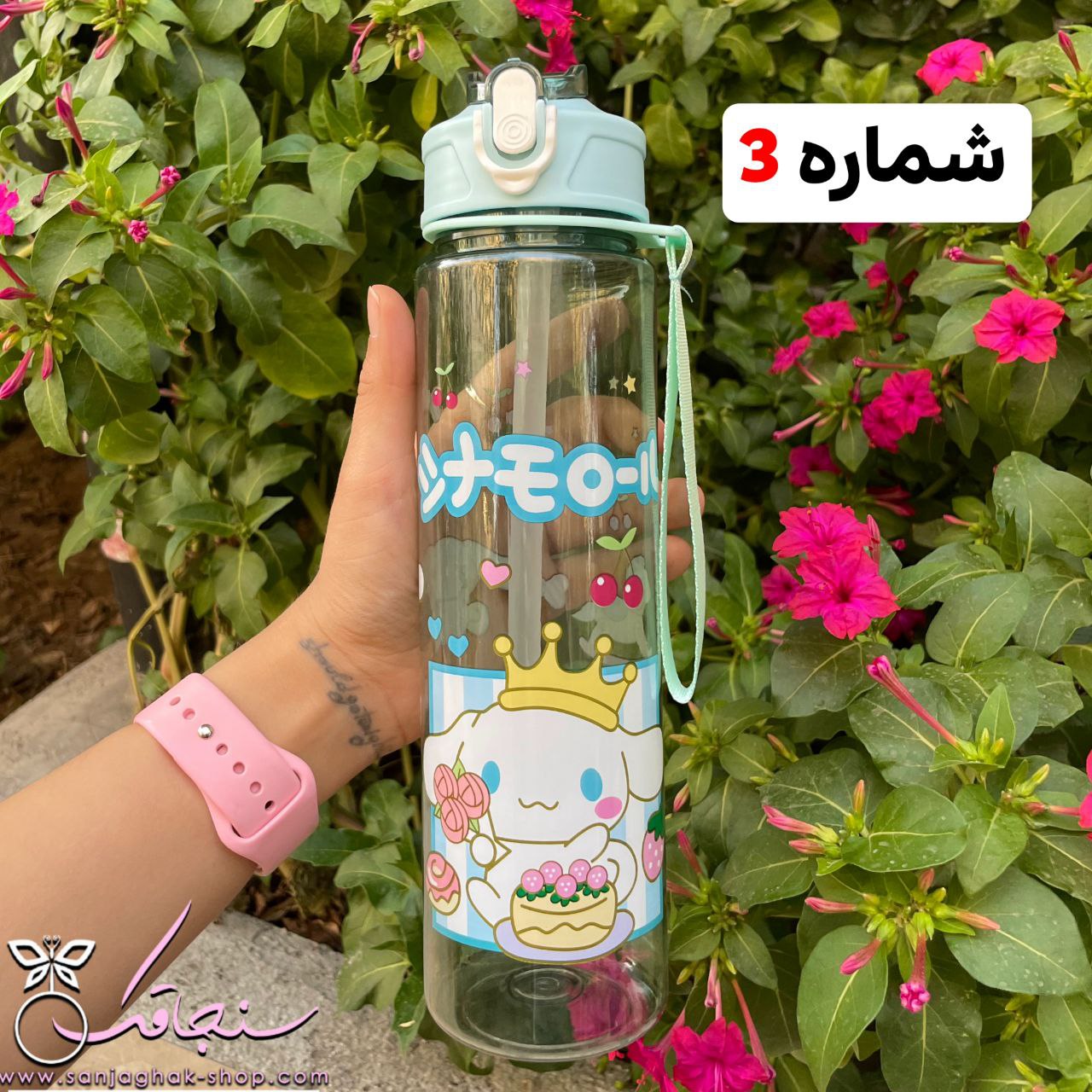 قمقمه كرومی و دوستان