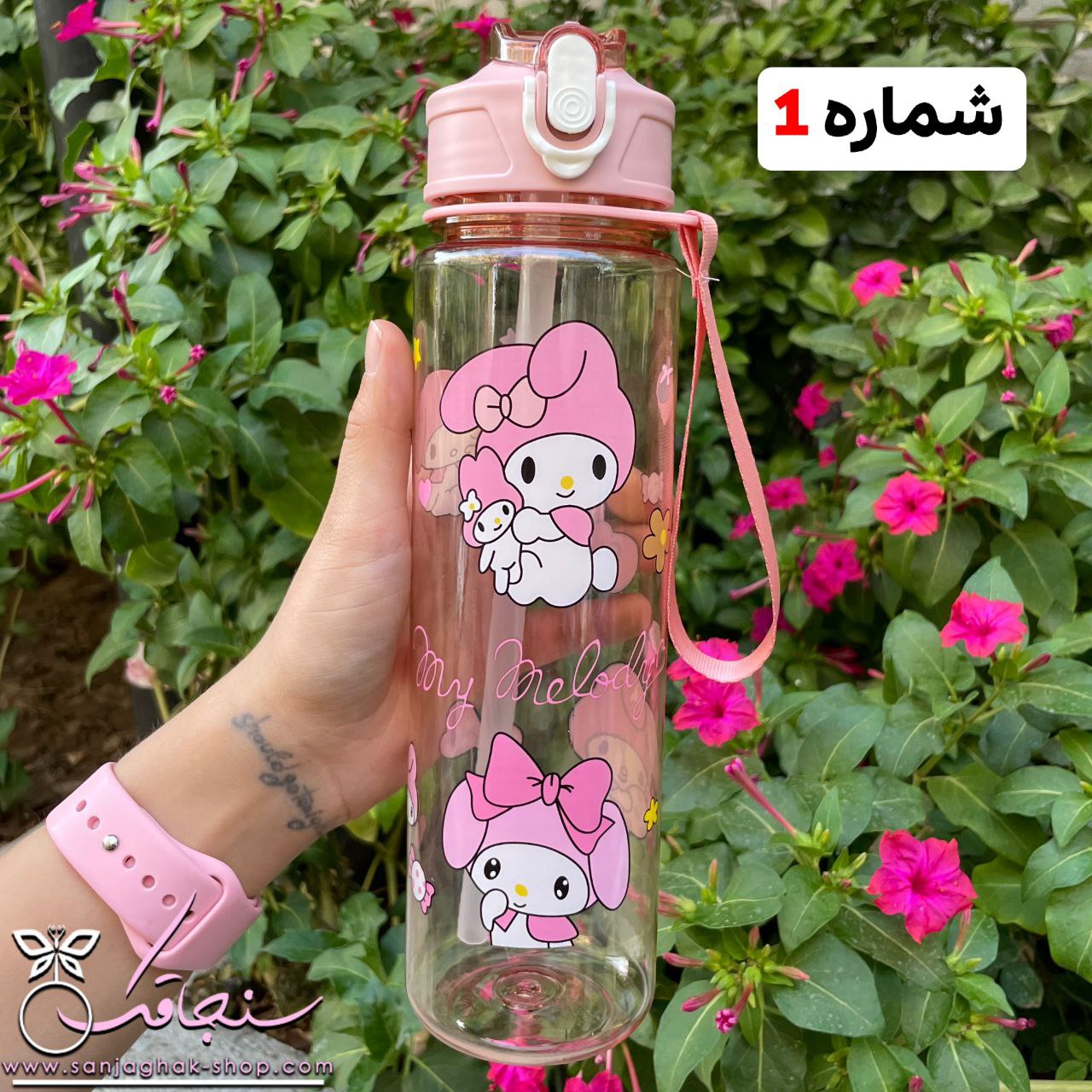 قمقمه كرومی و دوستان