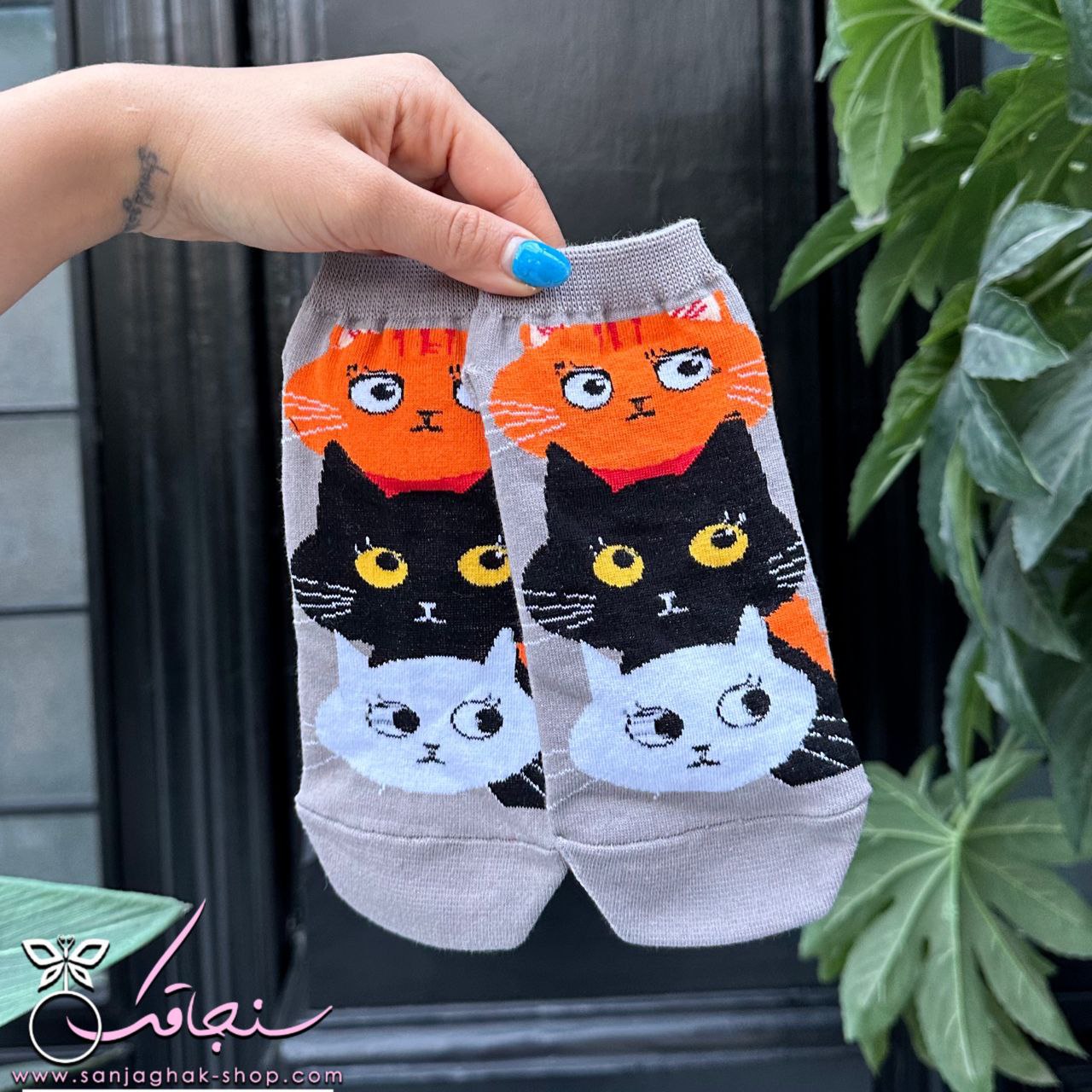 جوراب گربه های رنگی