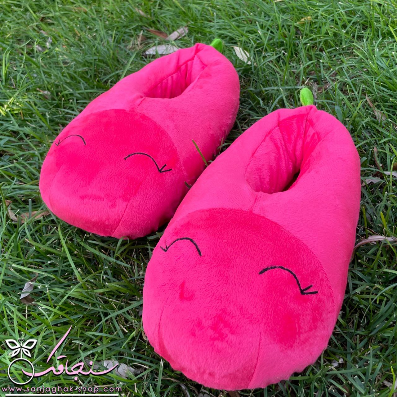 اسليپر(پاپوش) سرنديپيتی