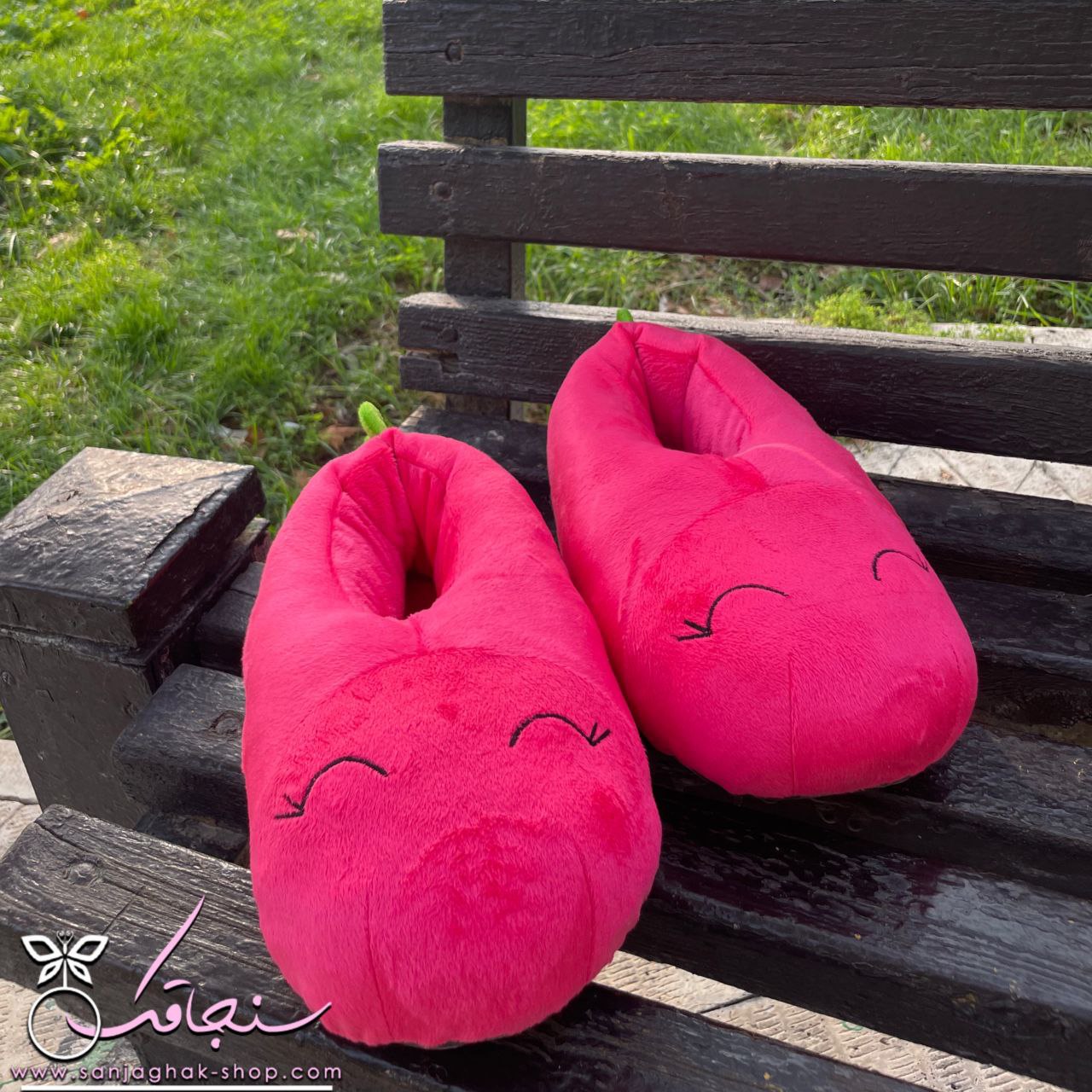 اسليپر(پاپوش) سرنديپيتی